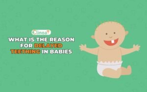 Reason for delayed teething in babies - Clinoa - Best Dentist in pondicherry - Best dentist near me